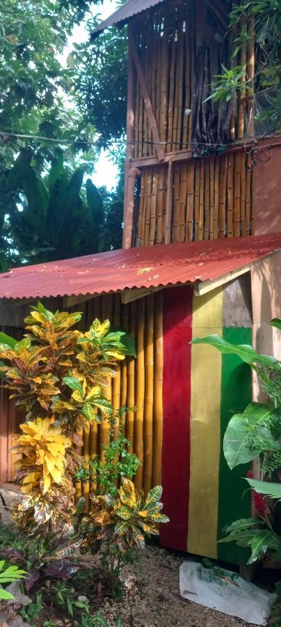 Treehouse Above The Beach Apartment Port Antonio Exterior foto